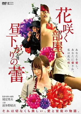 深海回声热播榜